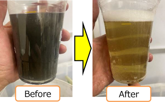 svアルファPF before-after